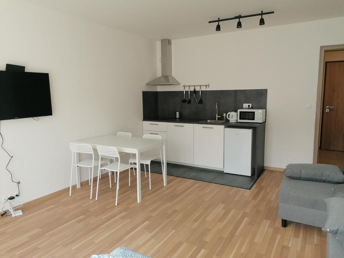 Brand New Studio Apartment #51 With Free Secure Parking In The Center Πράγα Εξωτερικό φωτογραφία